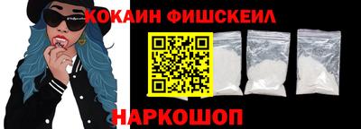 крисы Можга