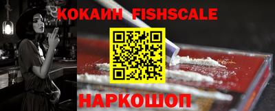 крисы Можга