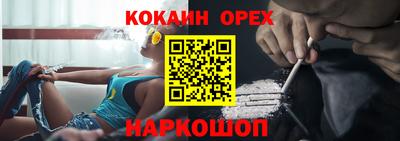 крисы Можга