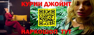 крисы Можга