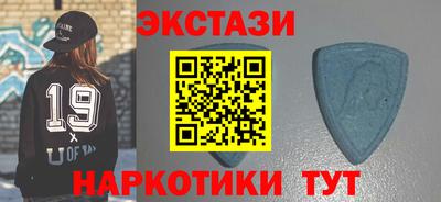 крисы Можга