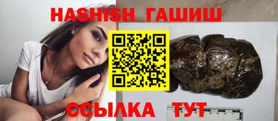 крисы Можга