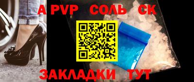 крисы Можга